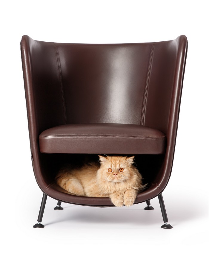 Fotel z miejsce dla kota; The Cat Design